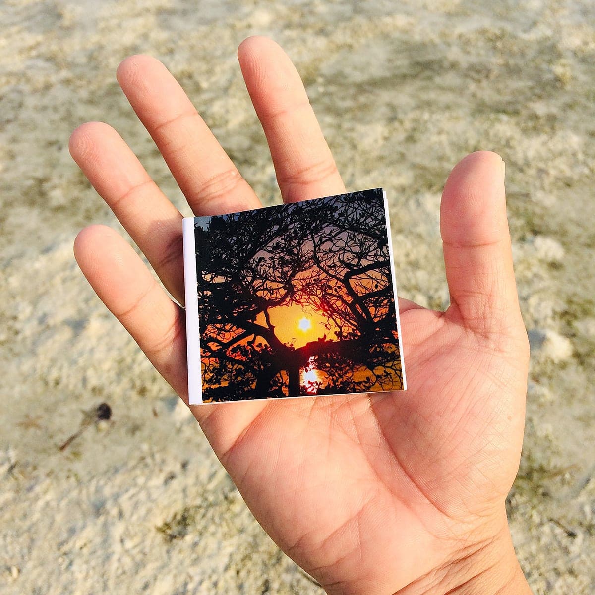 A Fotogra photobook — small, soft-bound, and made to be held.