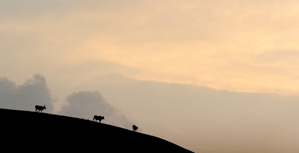 Batanes sunset